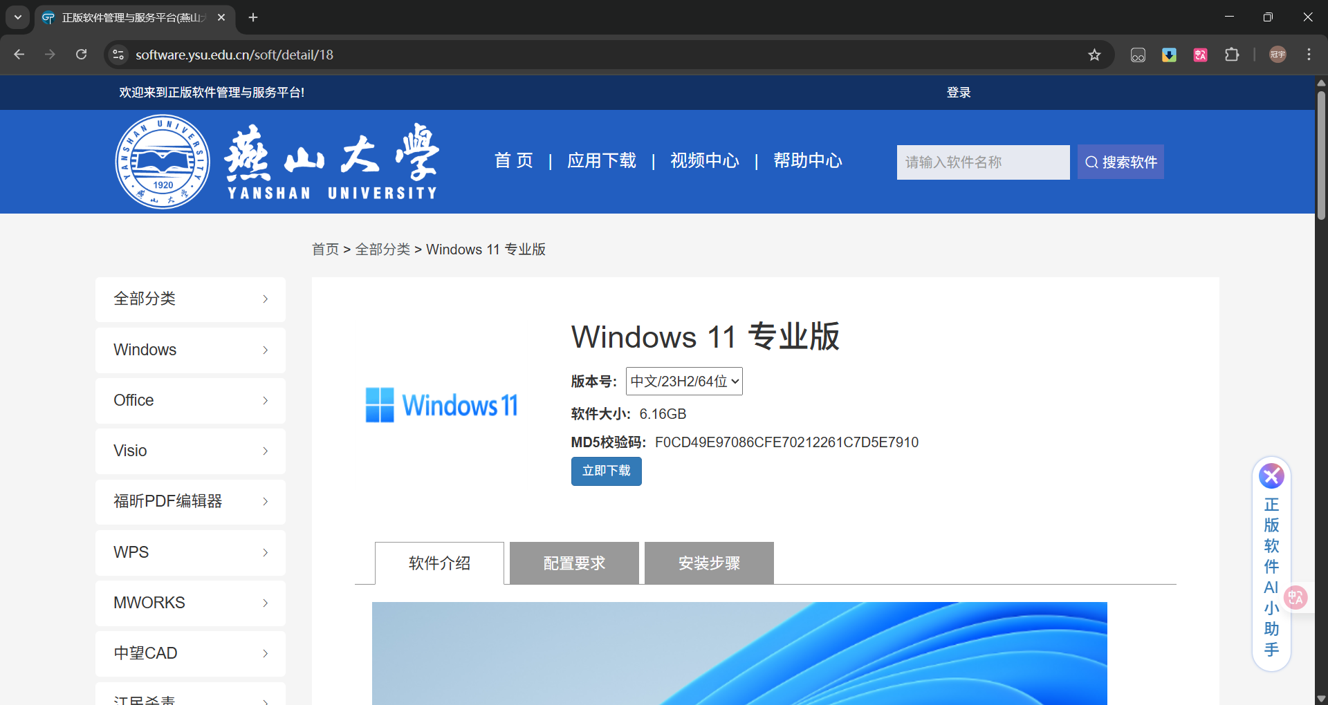 Windows11
